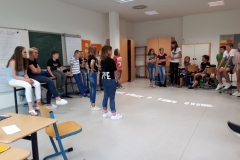 5-MScout