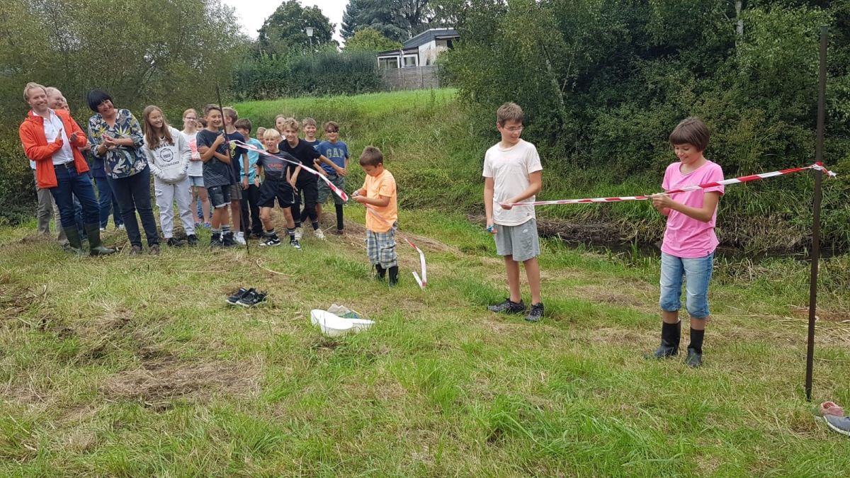 Bild-3