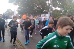 IMG_20190926_093726392